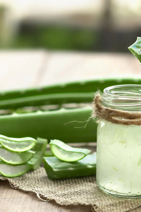 Aloe Vera biologica