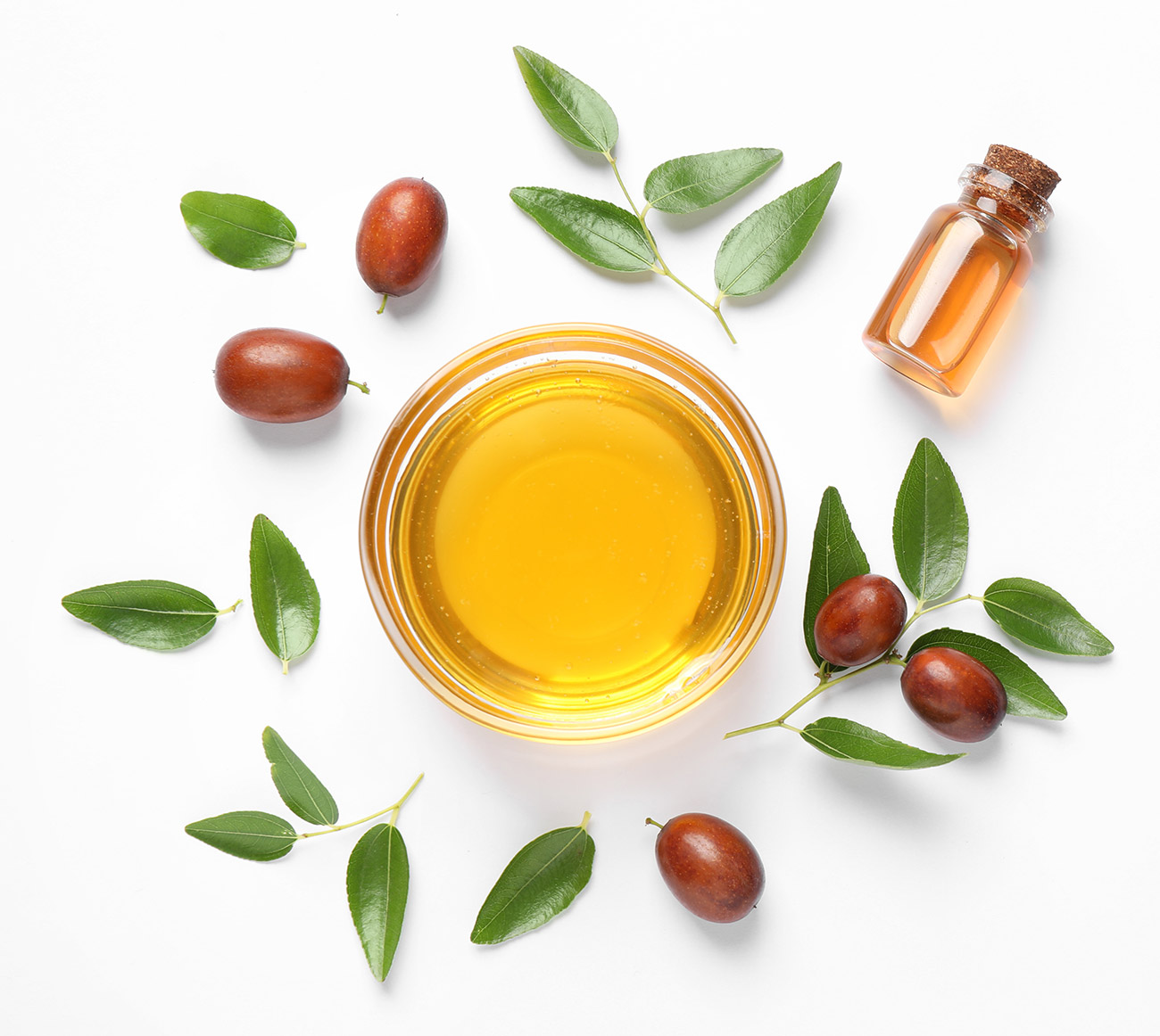 Масло жожоба для рук. Масло Jojoba Oil. Масло жожоба растение. Зизифус жожоба экстракт. Simmondsia chinensis Oil.